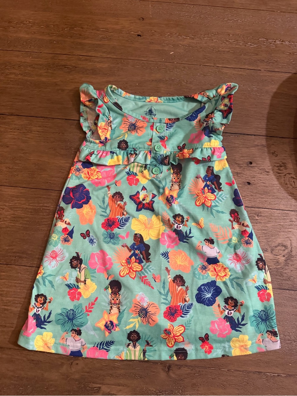 Disney Encanto dress